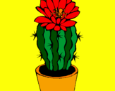 Disegno Cactus fiorito  pitturato su gaia