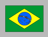 Disegno Brasile pitturato su christian di pietro