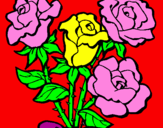 Disegno Mazzo di rose  pitturato su LAURA