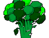 Disegno Broccoli  pitturato su beppe