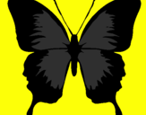 Disegno Farfalla con le ali nere pitturato su tommaso 3