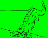 Disegno Alligatore che entra nell'acqua  pitturato su luigi