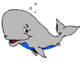 Disegno Balena timida  pitturato su leo