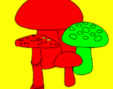 Disegno Funghi pitturato su nicola