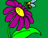 Disegno Margherita con ape  pitturato su lalla