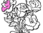 Disegno Mazzo di rose  pitturato su Alessandro