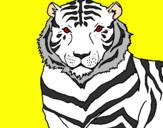 Disegno Tigre pitturato su z