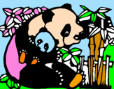 Disegno Mamma panda  pitturato su panducci