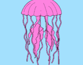 Disegno Medusa  pitturato su TIno