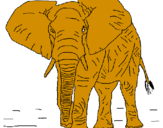 Disegno Elefante  pitturato su michael