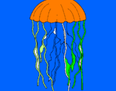 Disegno Medusa  pitturato su LEONARDO