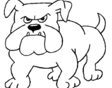 Disegno Bulldog  pitturato su francesco 2