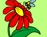 Disegno Margherita con ape  pitturato su giulia  456