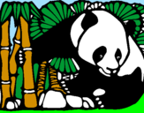 Disegno Orso panda con bambù  pitturato su un mare di colore