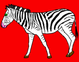 Disegno Zebra  pitturato su Deni