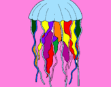 Disegno Medusa  pitturato su lalla