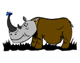Disegno Rinoceronte e farfalla  pitturato su giuseppe