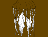 Disegno Medusa  pitturato su jacopo 2005