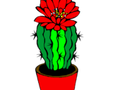 Disegno Cactus fiorito  pitturato su tittyli