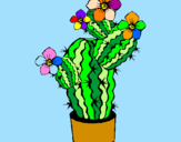 Disegno Fiori di cactus  pitturato su paola