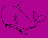 Disegno Balena timida  pitturato su ludo