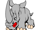 Disegno Rinoceronte II pitturato su MATTEO         A,