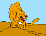 Disegno Tigre con affilati canini  pitturato su asterix