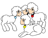 Disegno Pecore pitturato su stefo