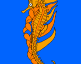 Disegno Cavalluccio marino orientale pitturato su aurora