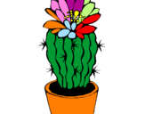 Disegno Cactus fiorito  pitturato su gerla