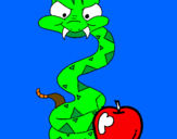 Disegno Serpente con la mela  pitturato su karin