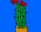 Disegno Cactus fioriti pitturato su miguele