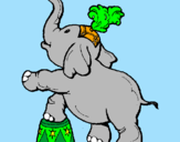 Disegno Elefante  pitturato su ESTELLA