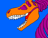 Disegno Scheletro di Tyrannosaurus rex pitturato su marco dino