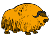 Disegno Bisonte  pitturato su loris