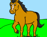 Disegno Cavallo pitturato su bisonte simo