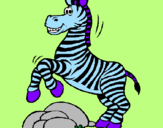 Disegno Zebra che salta sulle pietre  pitturato su giulia