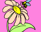 Disegno Margherita con ape  pitturato su Federica