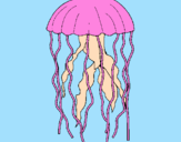 Disegno Medusa  pitturato su antonella99