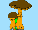 Disegno Funghi pitturato su kevin di  cossato