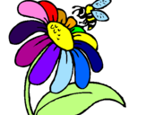 Disegno Margherita con ape  pitturato su che bel fiore
