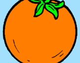 Disegno arance  pitturato su elisa