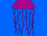 Disegno Medusa  pitturato su greta