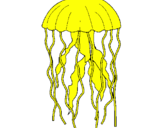 Disegno Medusa  pitturato su MEDUSA
