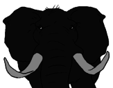 Disegno Elefante africano pitturato su marianna