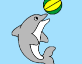 Disegno Delfino con una palla  pitturato su maria