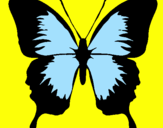 Disegno Farfalla con le ali nere pitturato su DALILA   