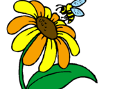 Disegno Margherita con ape  pitturato su fiori