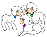 Disegno Pecore pitturato su agnello