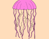 Disegno Medusa  pitturato su FRANCESCA B.